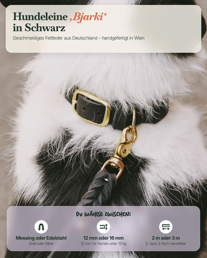 Lederleine 'Bjarki' in Schwarz