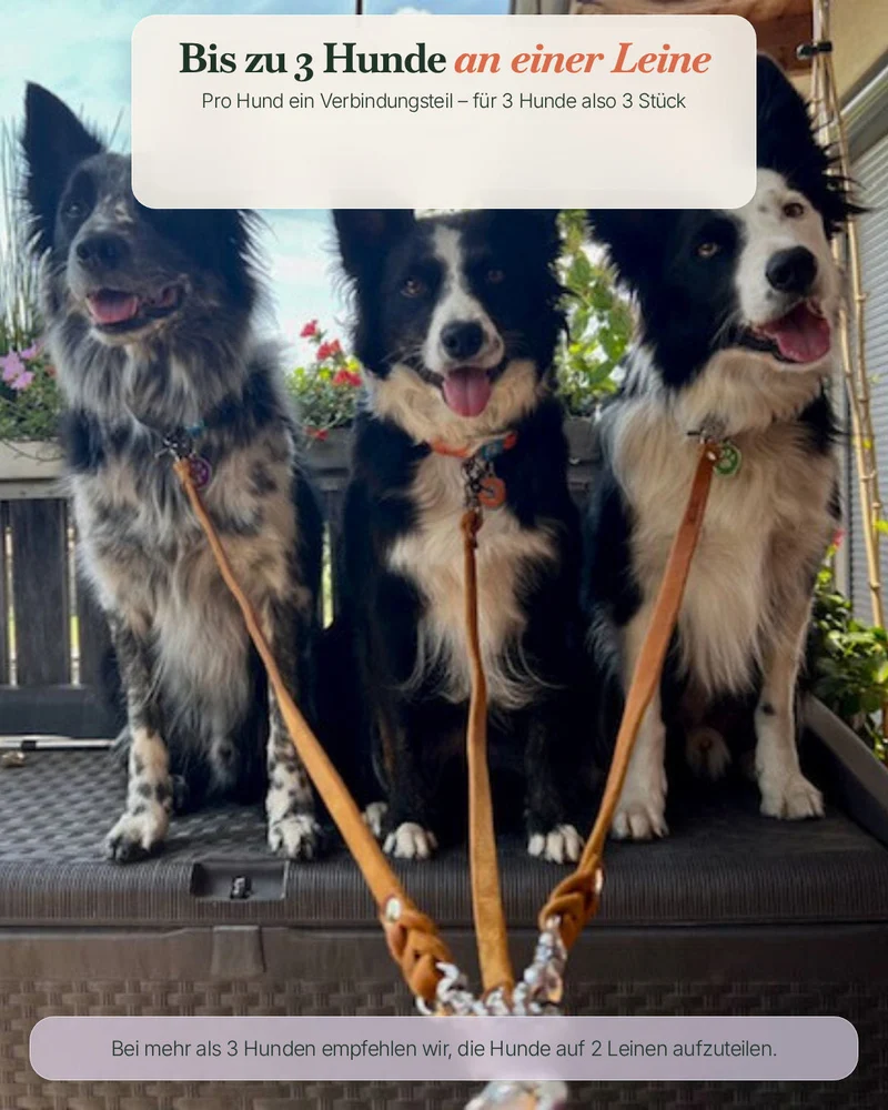 1 Stück Verbindungsteil aus Biothane für mehrere Hunde an einer Leine