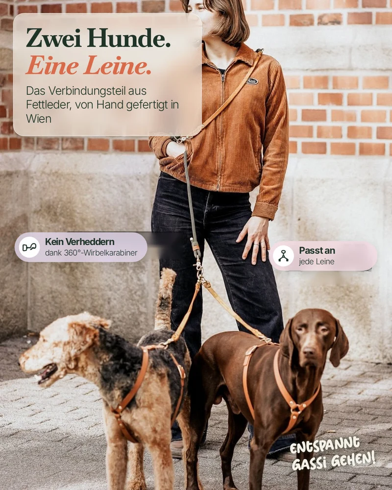 Verbindungsteil aus Leder für mehrere Hunde an einer Leine (1 Stück)