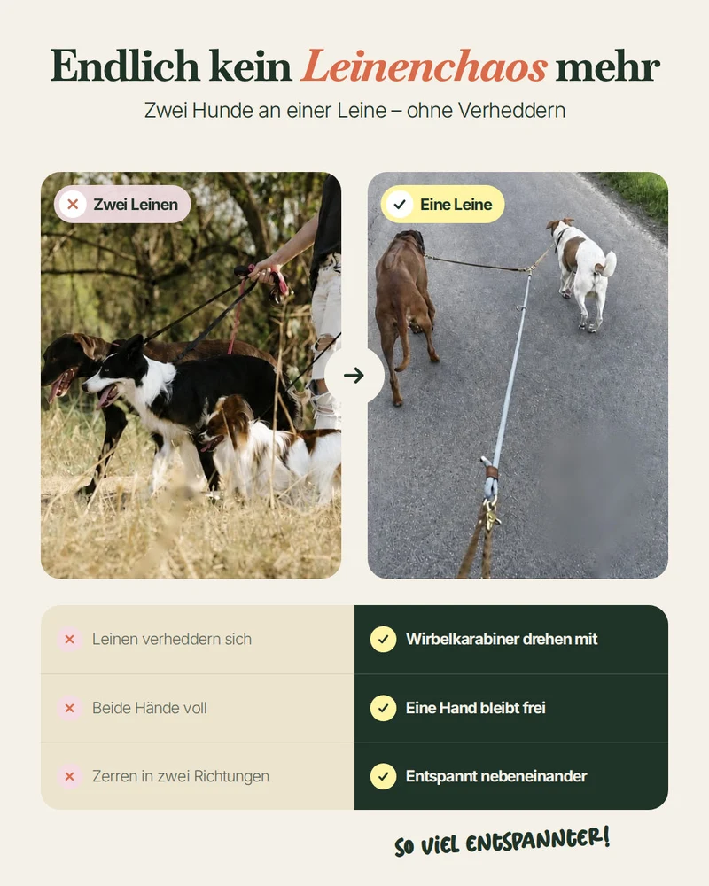 Verbindungsteil aus Leder für mehrere Hunde an einer Leine (1 Stück)