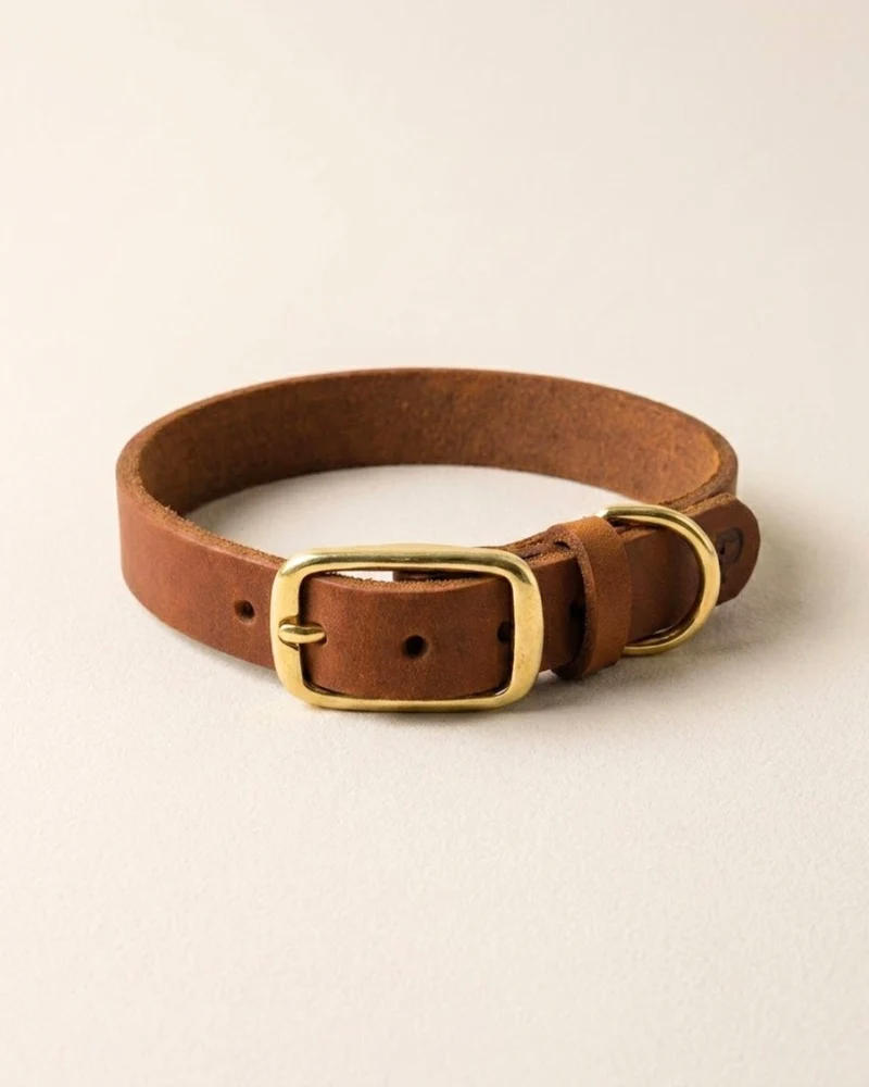 Schmales Lederhalsband in Cognac