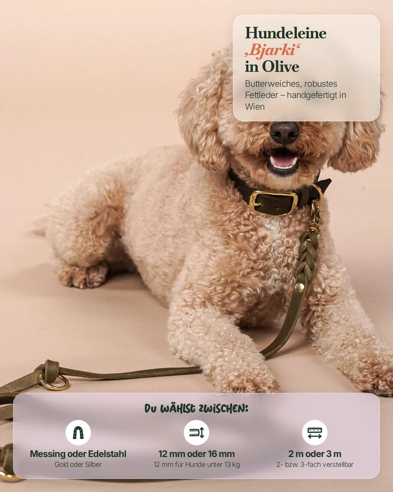 Lederleine 'Bjarki' in Olive