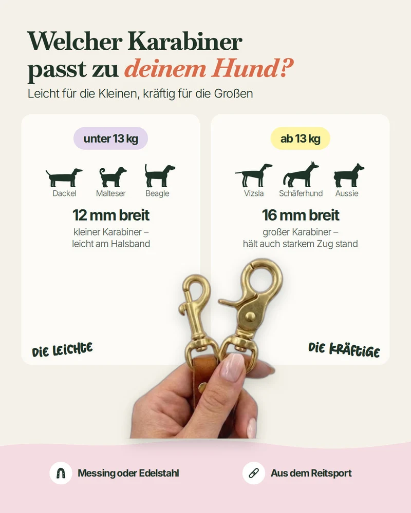 Lederleine 'Bjarki' in Steingrau