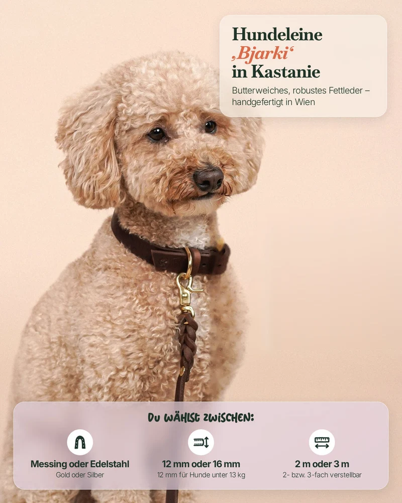Lederleine 'Bjarki' in Kastanie