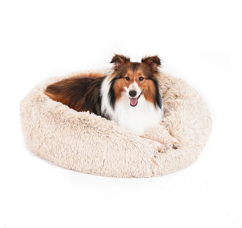 Calming Cuddle Bed Plus+