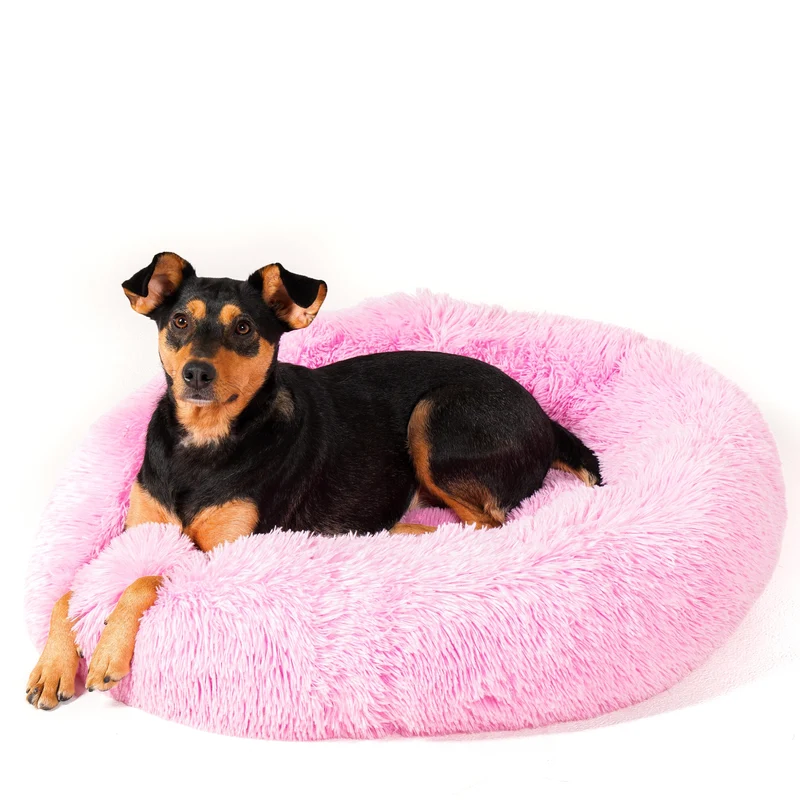 Calming Cuddle Bed Plus+