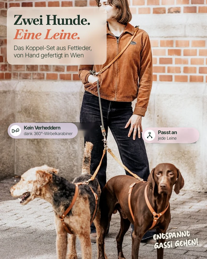 Komplett-Set | 2 Stück Verbindungsteile aus Leder inkl. Ring - für 2 Hunde an einer Leine