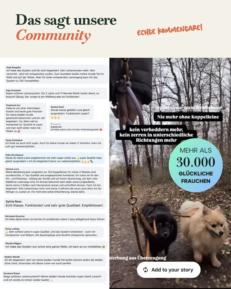 Komplett-Set | 2 Stück Verbindungsteile aus Leder inkl. Ring - für 2 Hunde an einer Leine