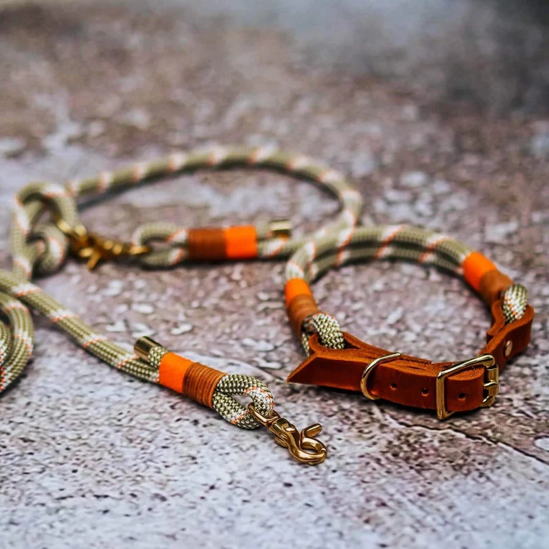 Set | Halsband & Leine 'Paris'