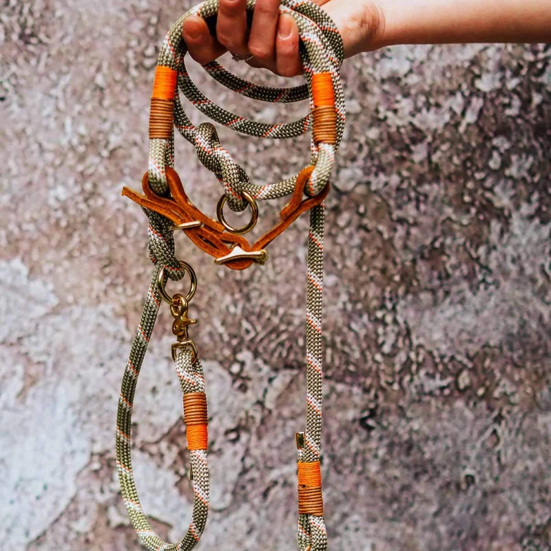 Set | Halsband & Leine 'Paris'