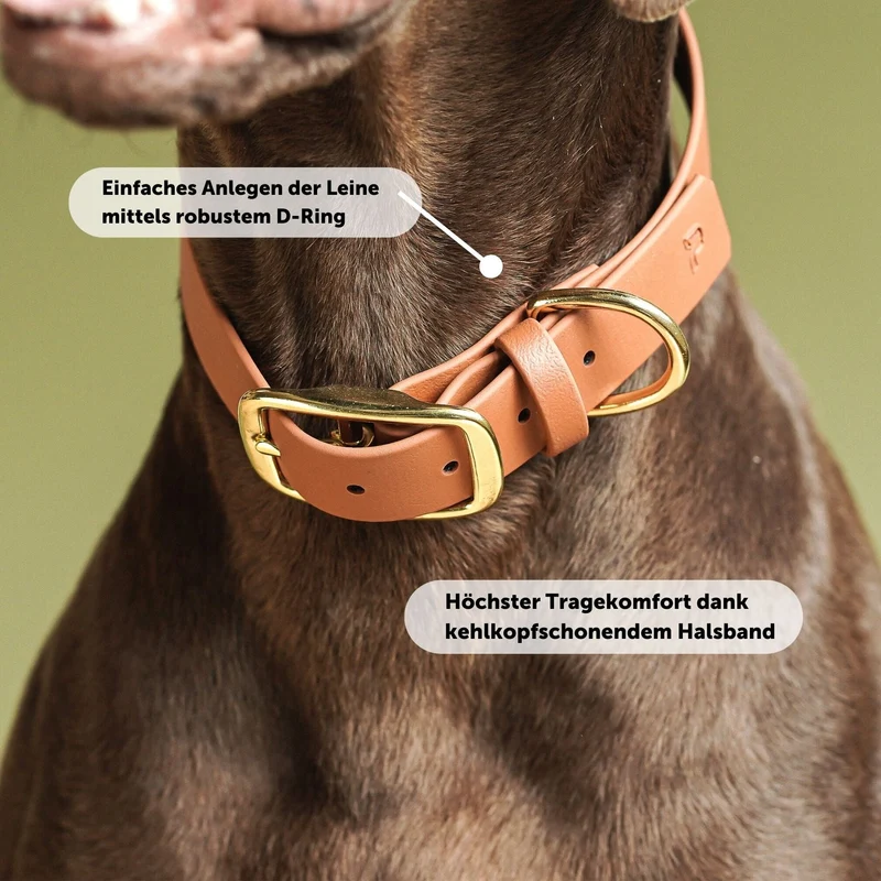 Set | Halsband & Leine aus Biothane® 'Hellbraun'