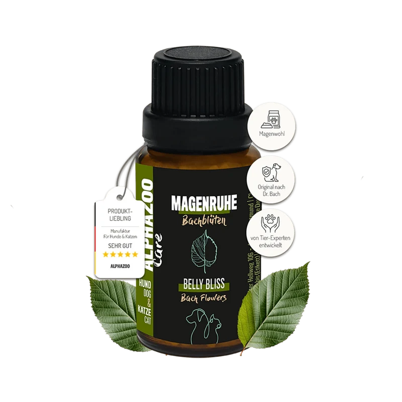 Magenruhe Bachblüten