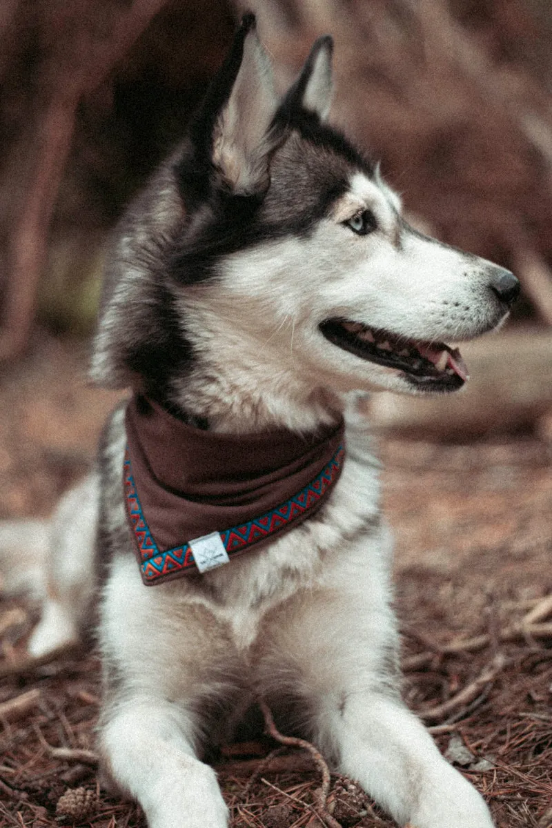 Trailbound | Hundehalstuch