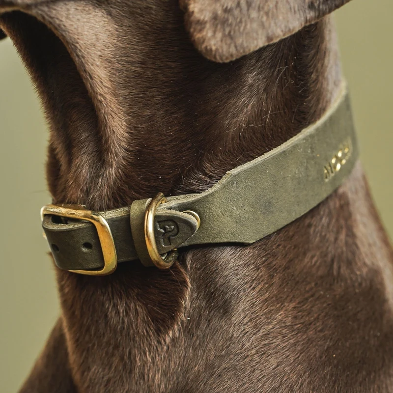 Personalisierbares Lederhalsband mit Name | Olive