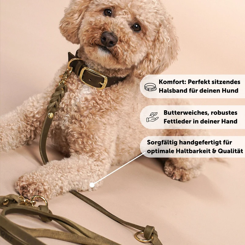 Personalisierbares Lederhalsband mit Name | Olive