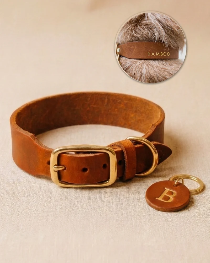 Personalisierbares Lederhalsband mit Name | Cognac