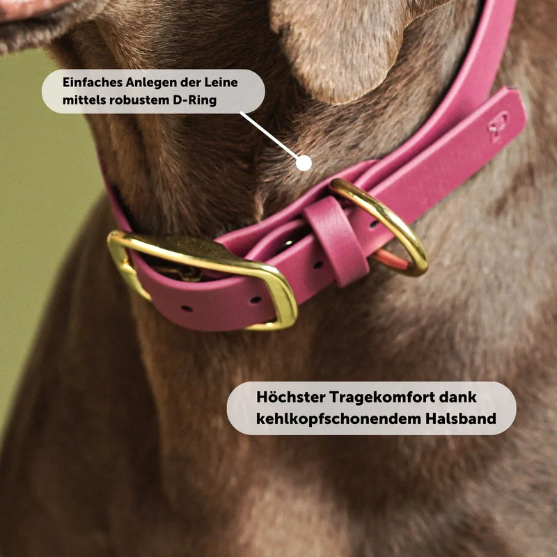 Set | Halsband & Leine aus Biothane® 'Magenta'
