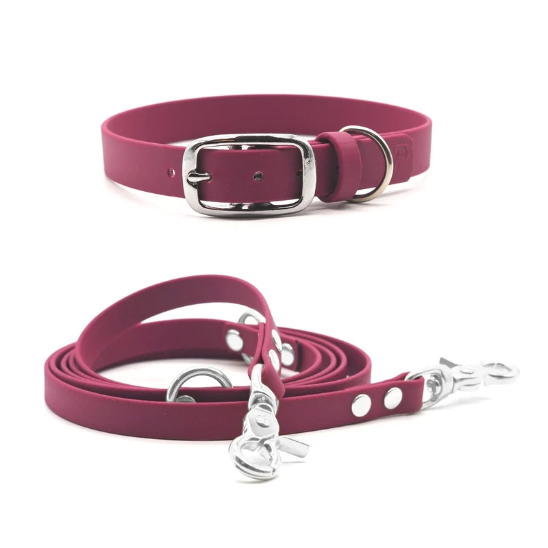 Set | Halsband & Leine aus Biothane® 'Magenta'