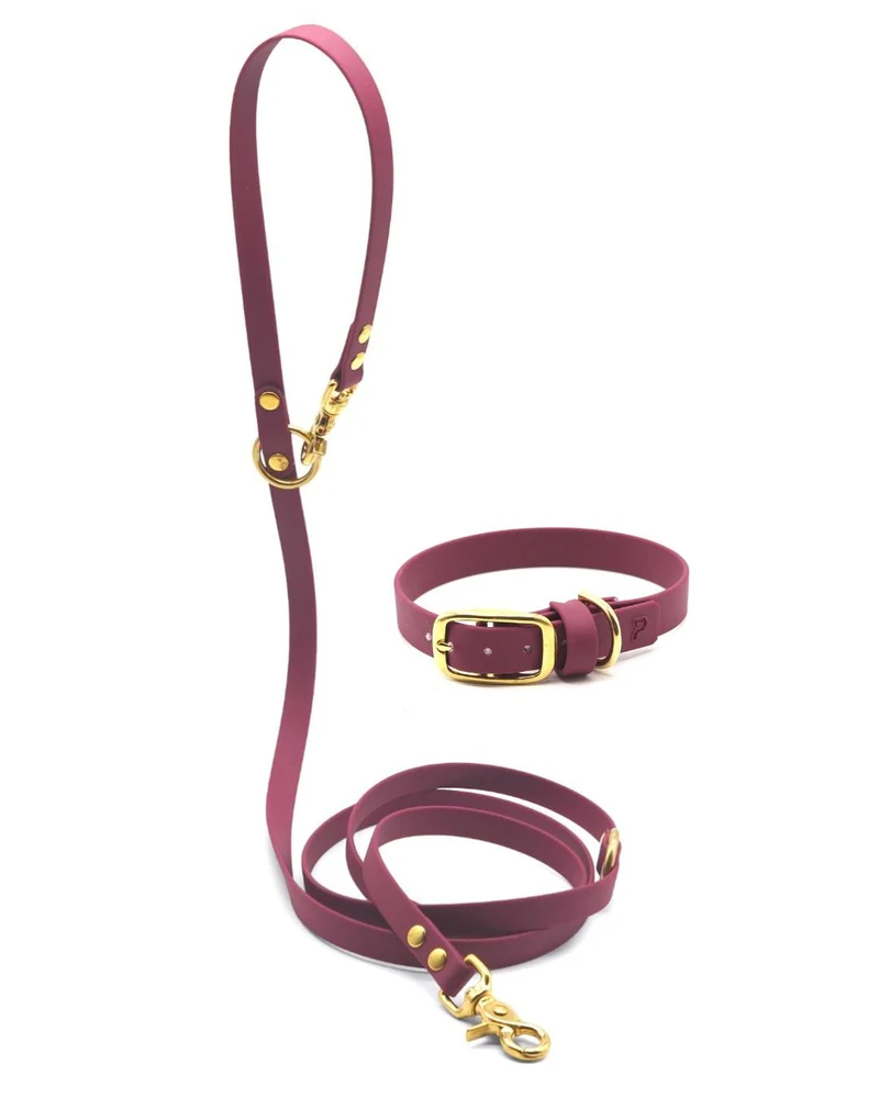 Set | Halsband & Leine aus Biothane® 'Magenta'
