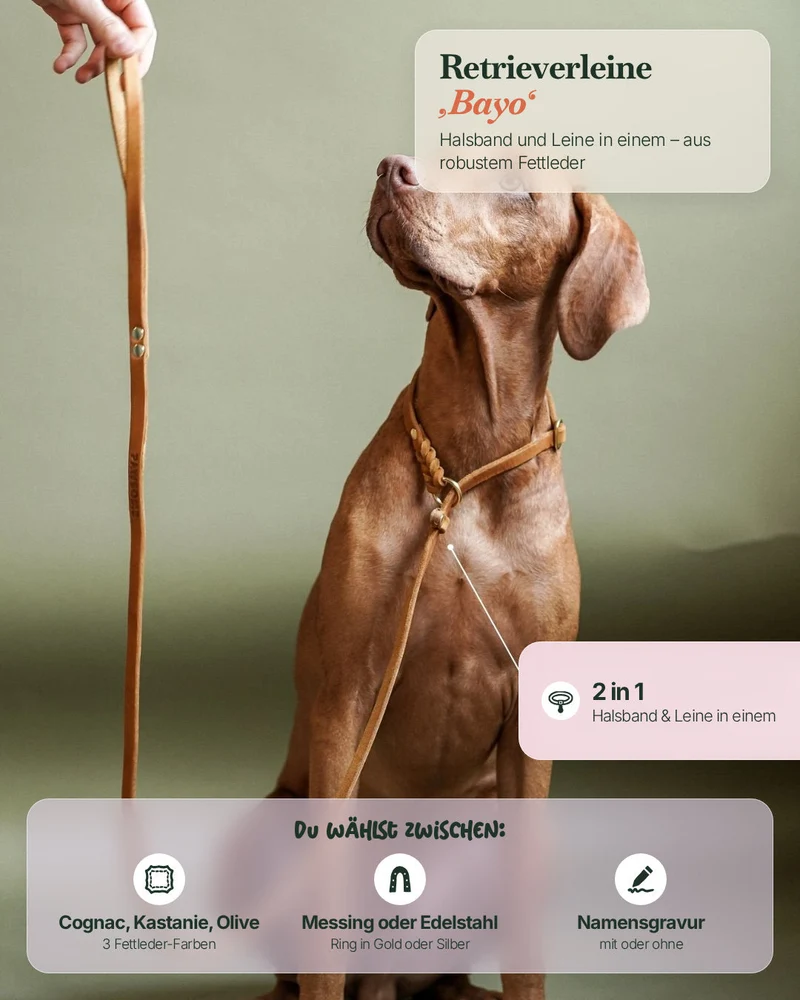 Retrieverleine aus Fettleder 'Bayo'