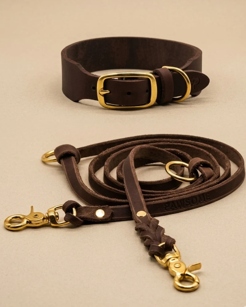 Set | Lederhalsband & Leine in Kastanie