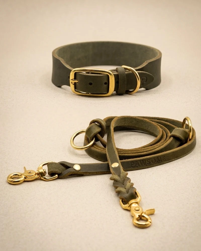 Set | Lederhalsband & Leine in Olive