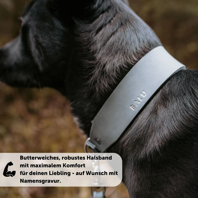 Set | Lederhalsband & Leine in Steingrau