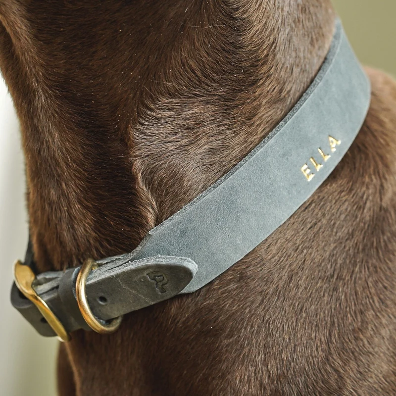 Set | Lederhalsband & Leine in Steingrau