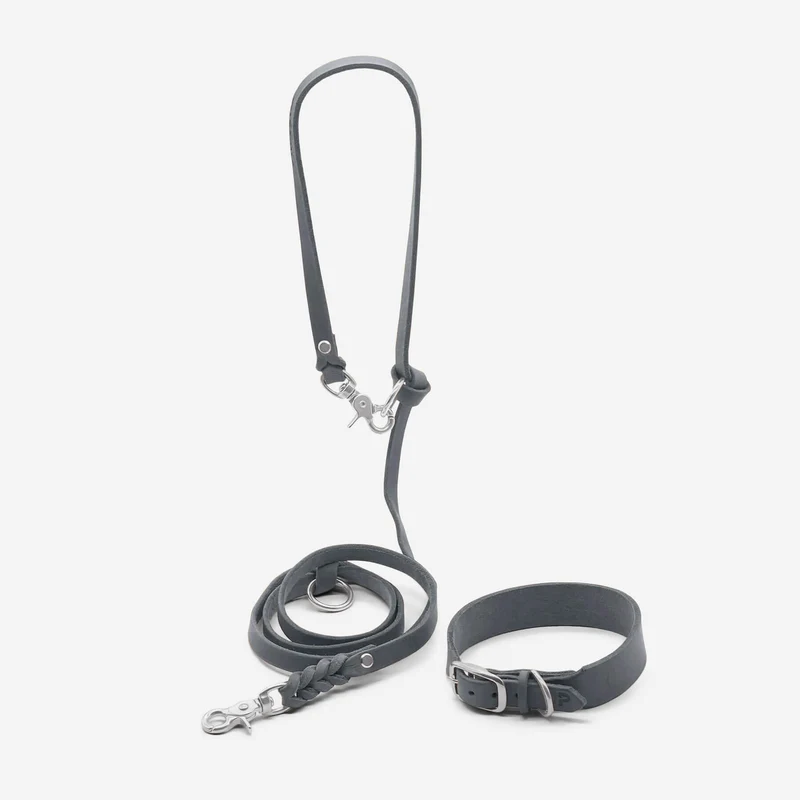 Set | Lederhalsband & Leine in Steingrau