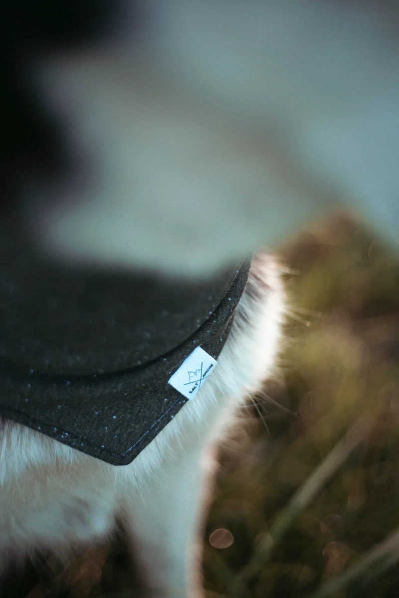 Woodland | Hundehalstuch