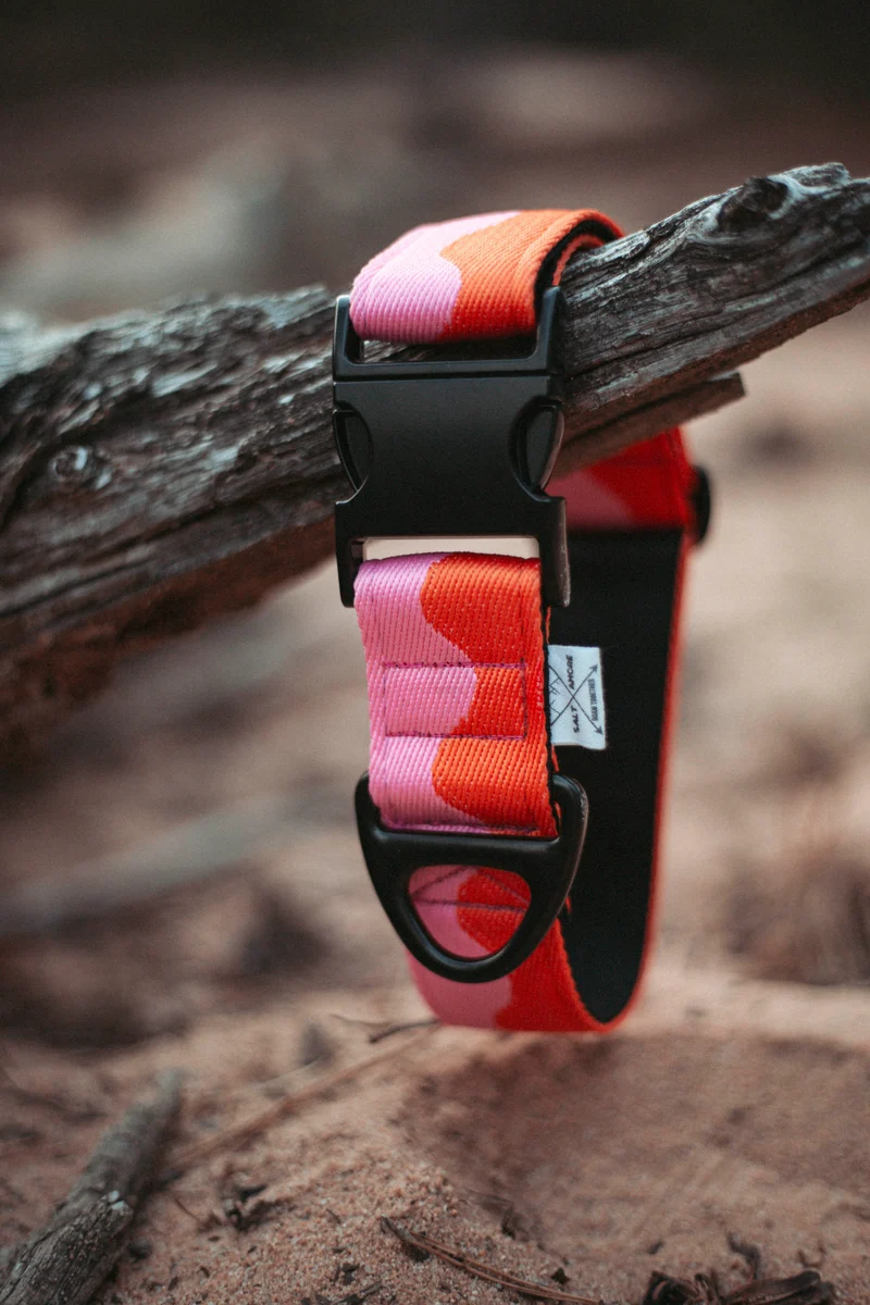 Coral Heat | verstellbares Hundehalsband