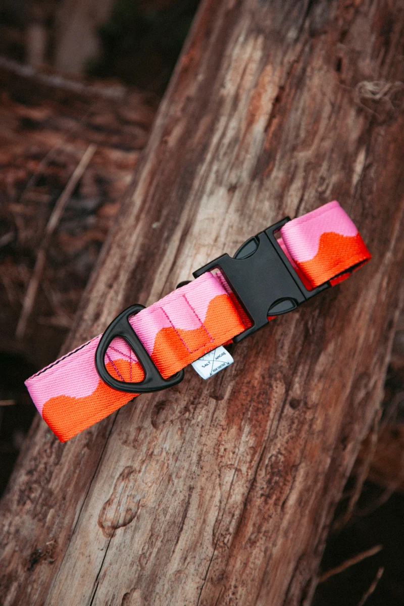 Coral Heat | verstellbares Hundehalsband