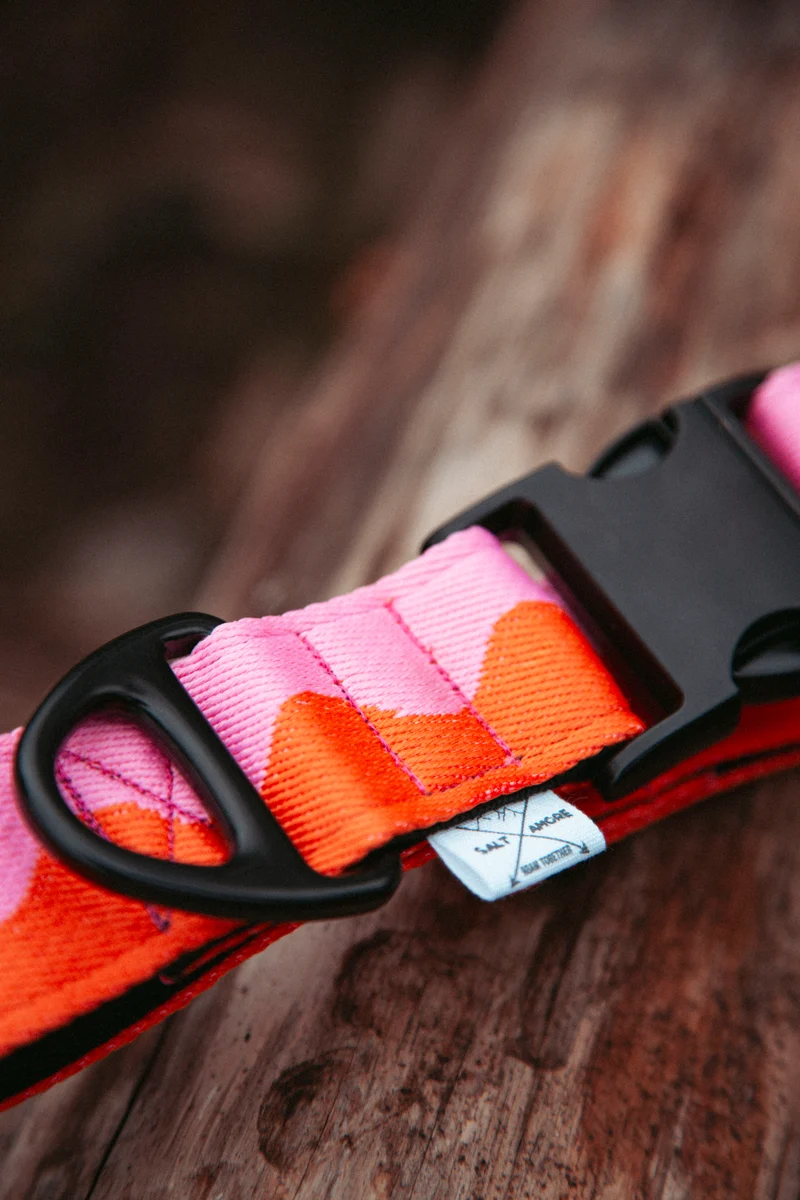 Coral Heat | verstellbares Hundehalsband