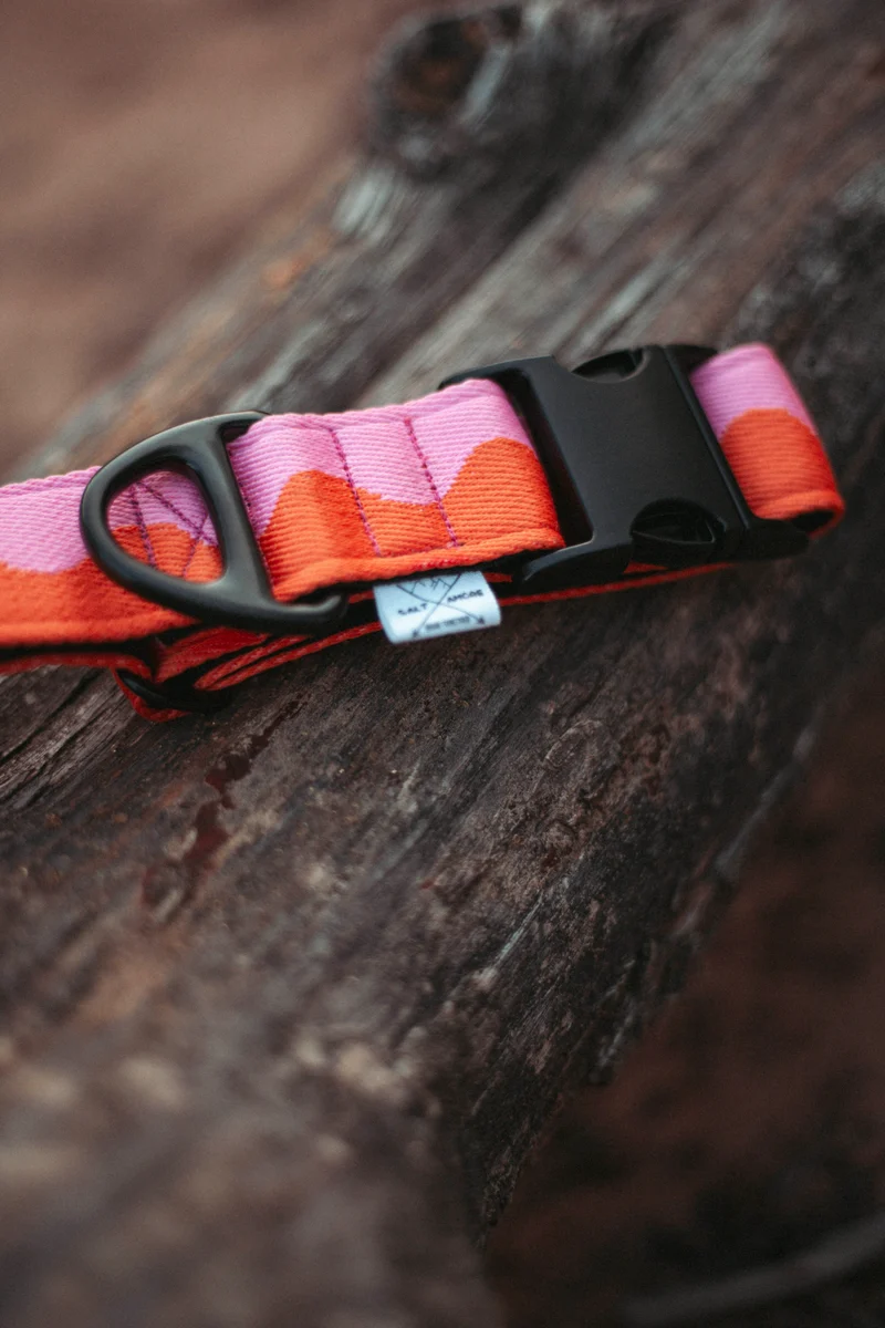 Coral Heat | verstellbares Hundehalsband