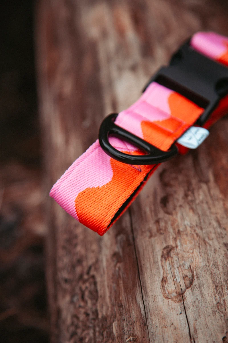 Coral Heat | verstellbares Hundehalsband