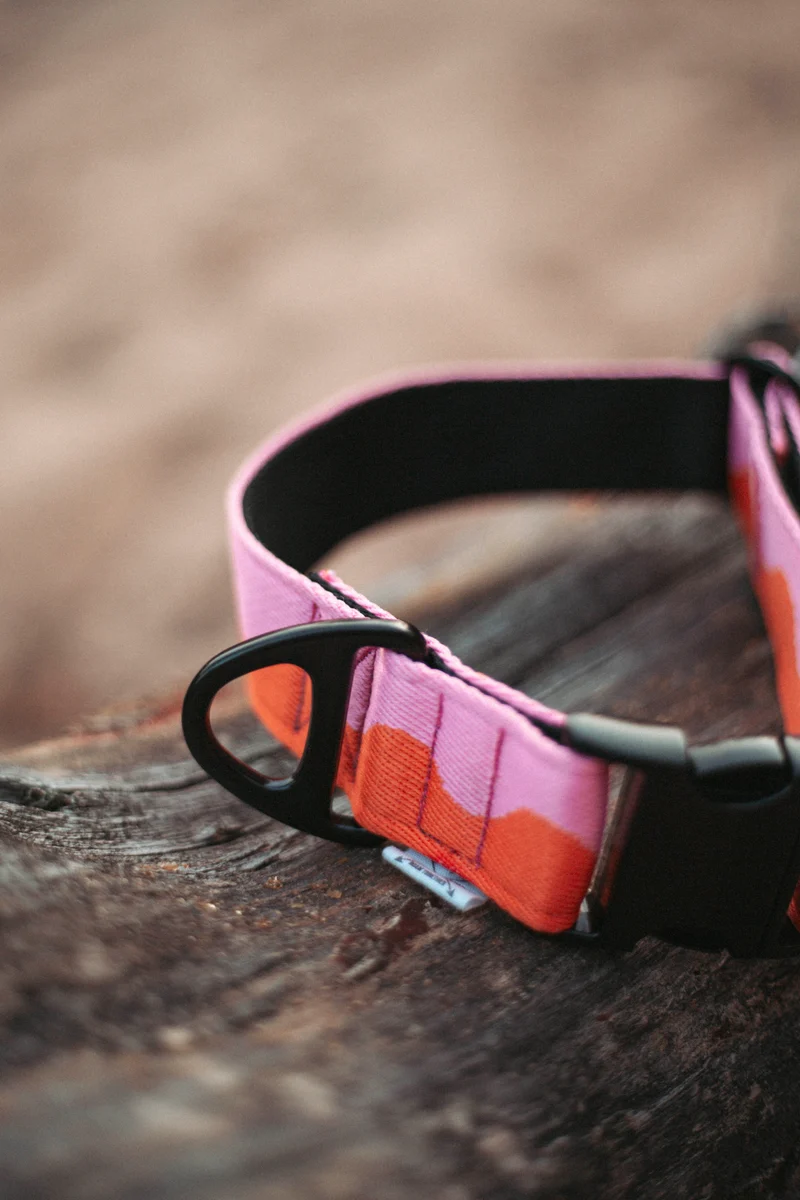 Coral Heat | verstellbares Hundehalsband
