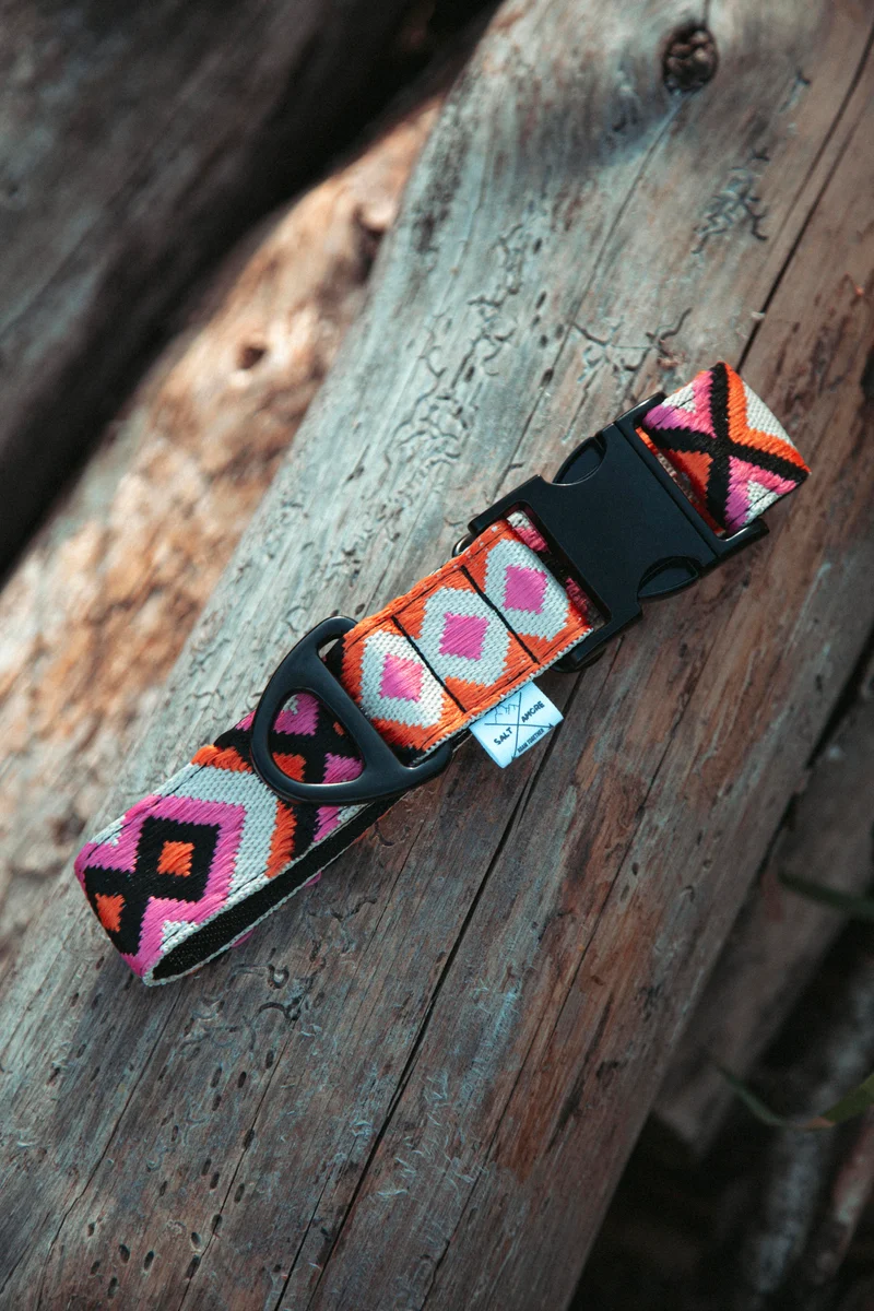Wild Nomad | verstellbares Hundehalsband