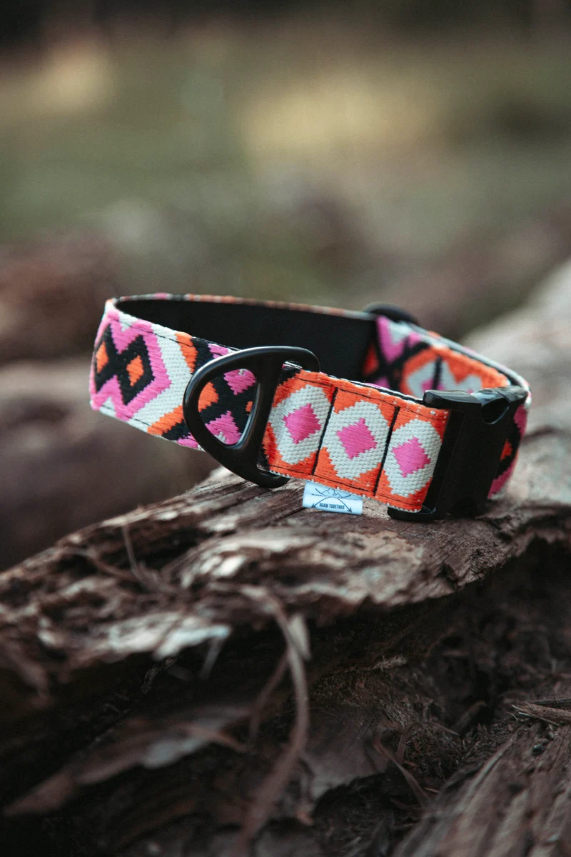Wild Nomad | verstellbares Hundehalsband