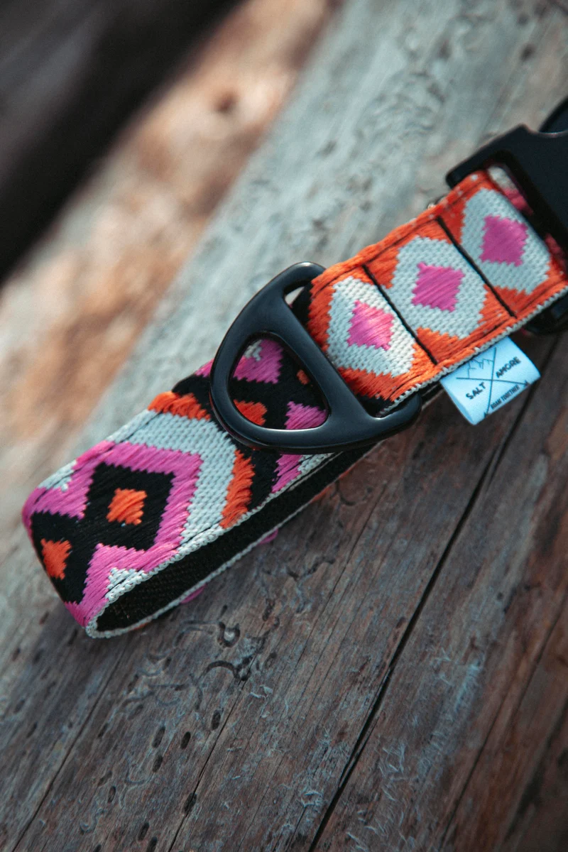 Wild Nomad | verstellbares Hundehalsband