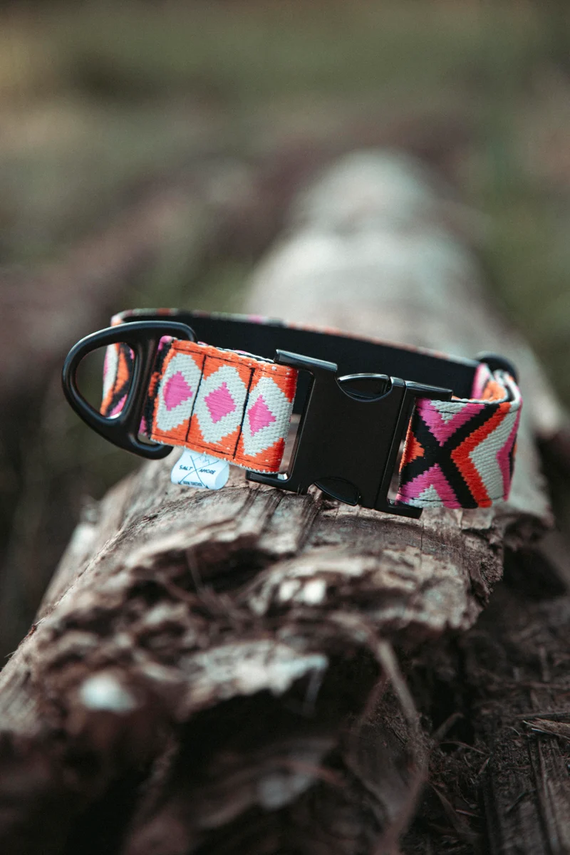 Wild Nomad | verstellbares Hundehalsband