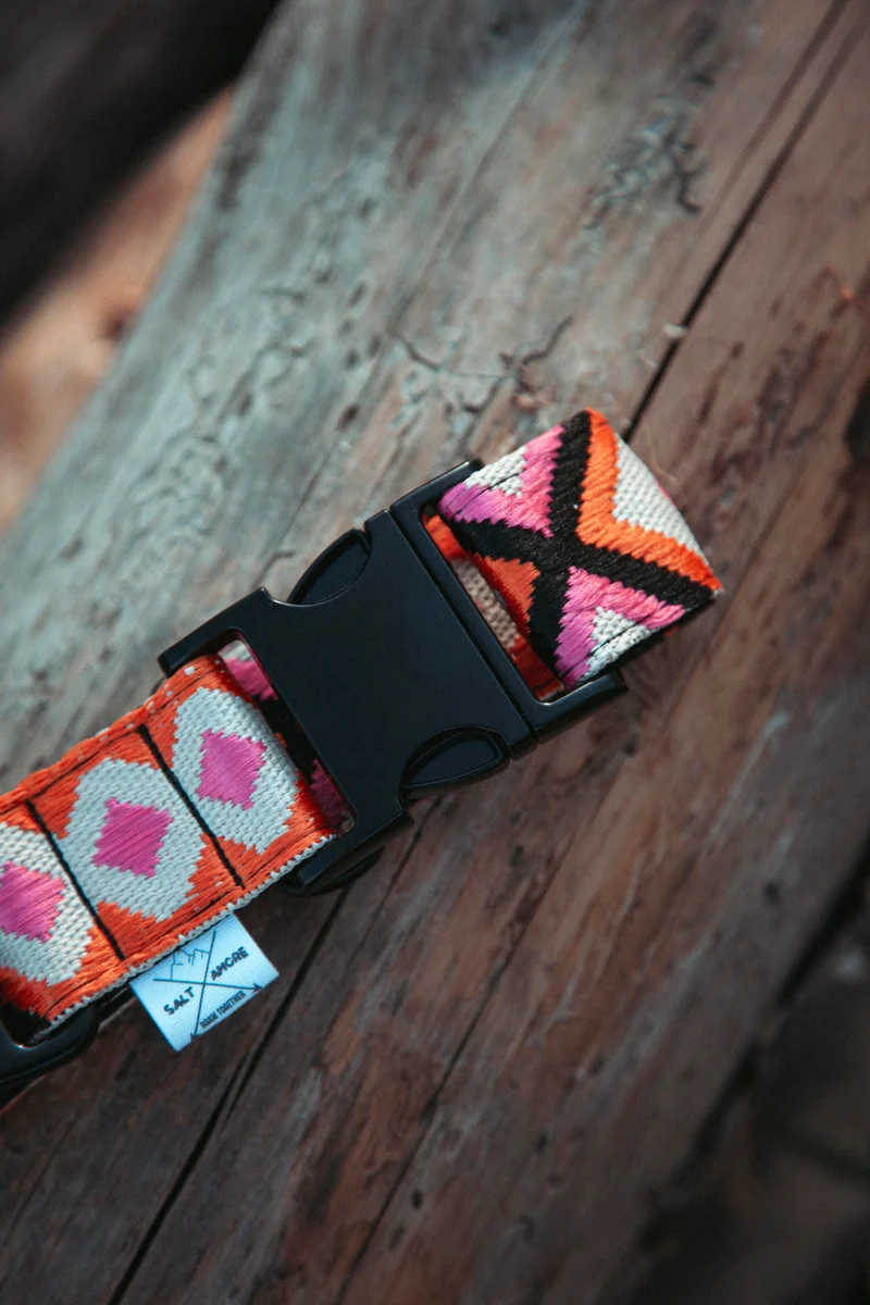 Wild Nomad | verstellbares Hundehalsband