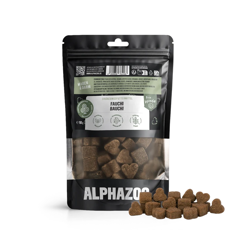 Fauchi Bauchi