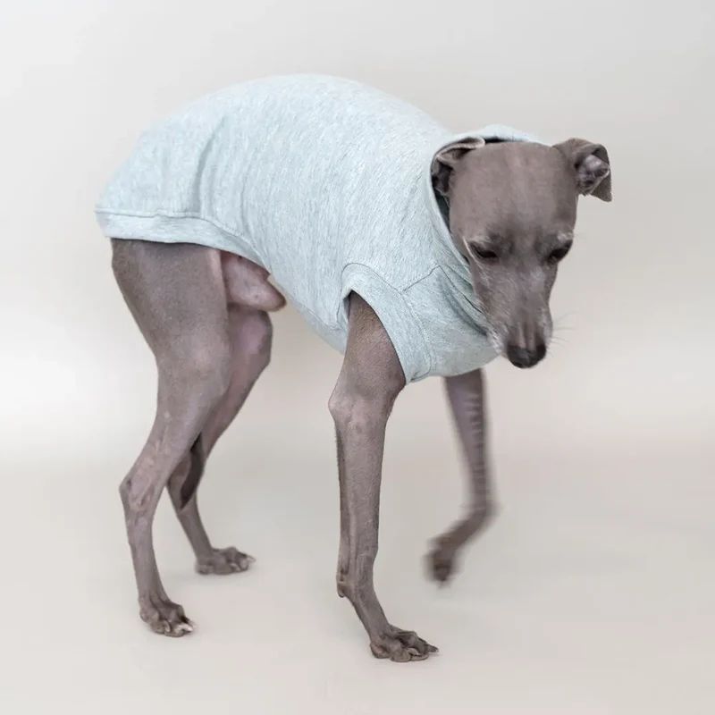 Hunde-Shirt Homewear – Mint