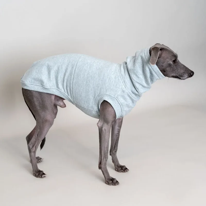 Hunde-Shirt Homewear – Mint