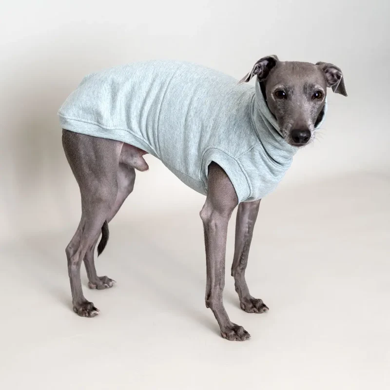 Hunde-Shirt Homewear – Mint