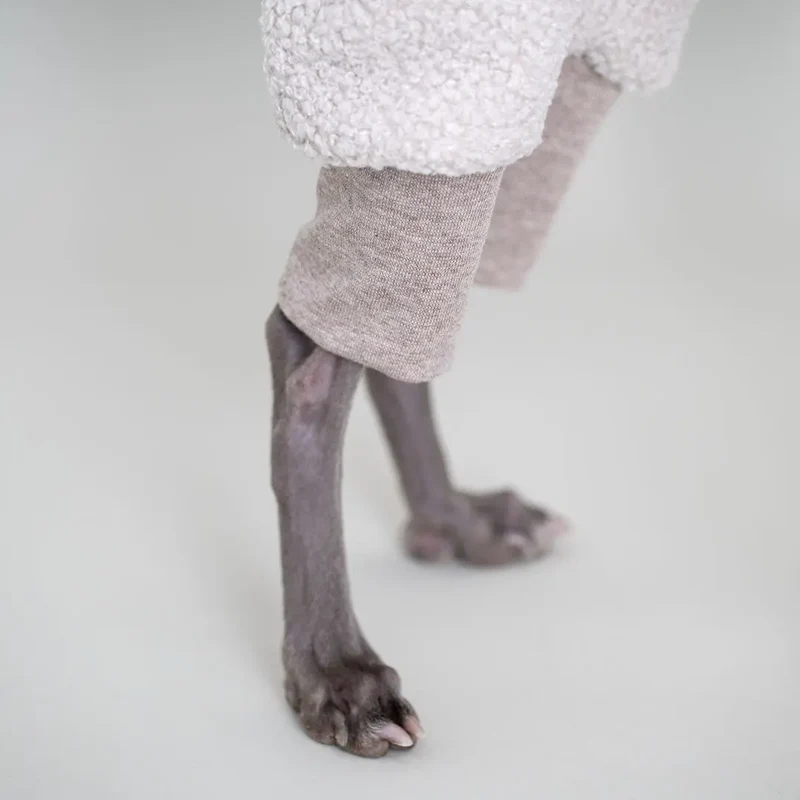 Hunde-Overall "Glow" Creme