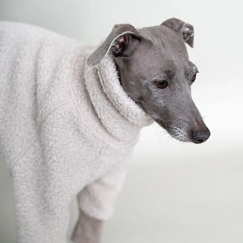 Hunde-Overall "Glow" Creme