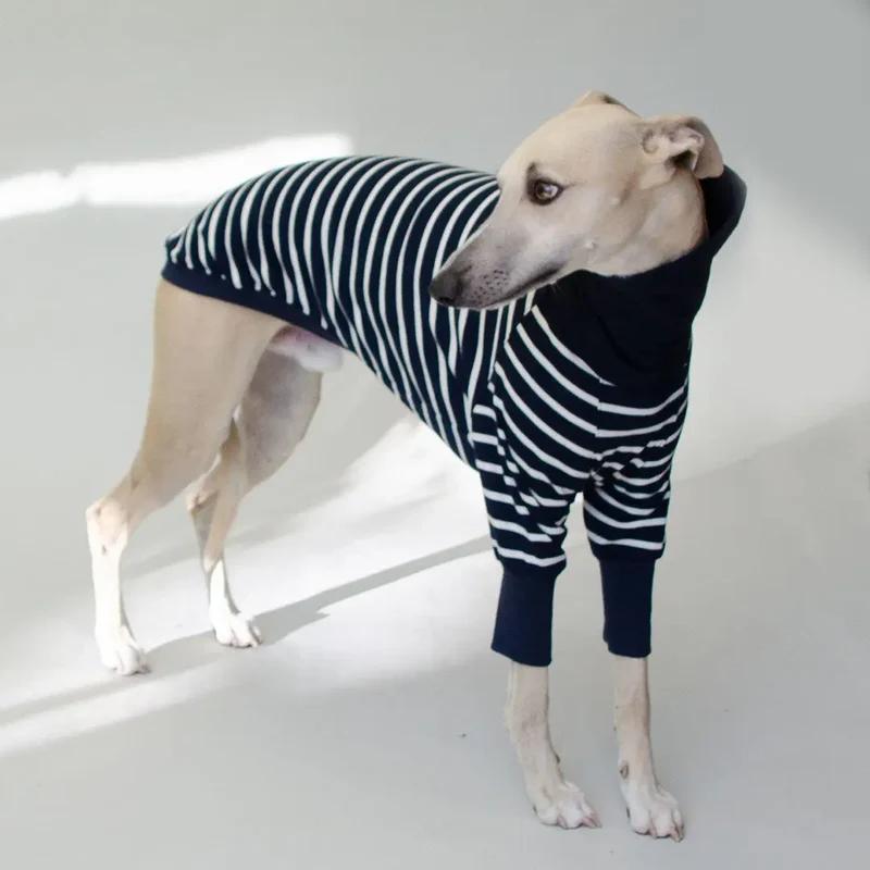 Hundeshirt "MARSEILLE" long-sleeve