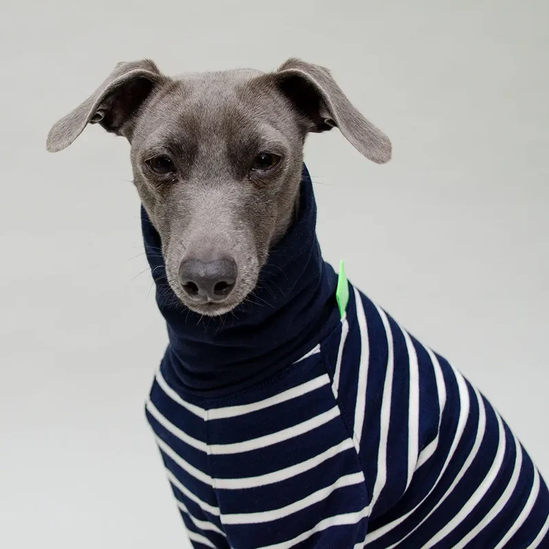 Hundeshirt "MARSEILLE" long-sleeve