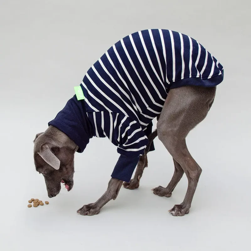 Hundeshirt "MARSEILLE" long-sleeve